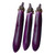 Long Purple Eggplant Seed