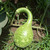 Dipper Gourds Seed