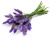 Lavender Vera Herb Seed