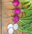 Purple Plum Radish Heirloom Seed