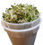 Sprouting Starter Kit - Easy Sprouter and 1lb Broccoli, Radish, Alfalfa Seed Mix