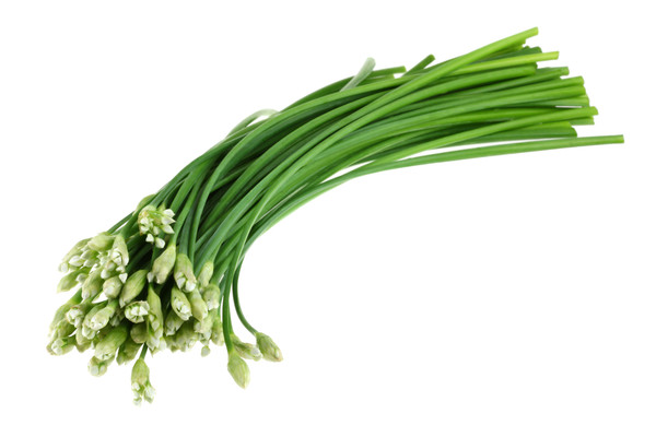 Garlic Chives Herb Seed