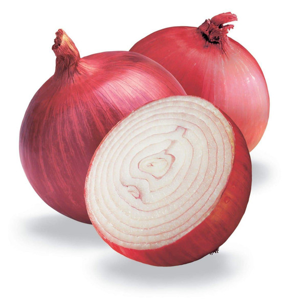 Red Grano Short Day Onion Heirloom Seed