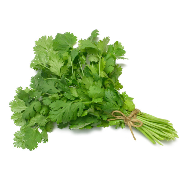 Coriander (Whole Seed Cilantro) Slo-Bolting Herb Seed