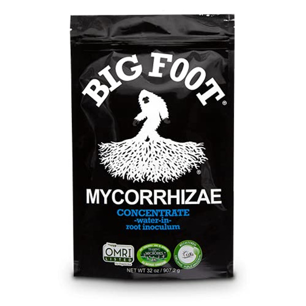 Big Foot Organic Mycorrhizal Fungi Water-in Concentrate. 4 Species Endo Mycorrhizae Inoculant for Plant Root Growth. 1 TSP per Gallon of Solution. Biochar, Worm Castings, Micronutrients (32 oz)