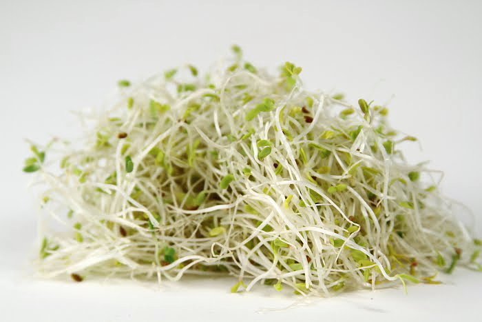 salad-sprouting-mixture-broccoli-mustard-alfalfa-and-cabbage.jpg