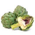 Green Globe Artichoke