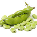 Broad Bean - Fava Broad Windsor Bean Seeds