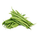 Bush Bean Contender seeds