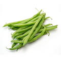 Bush Bean Harvester Seed