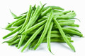 Bush Bean -  Provider Bean Heirloom Seeds