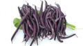 Bush Bean - Royal Burgundy Bean Seed