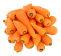 Chantenay Red Cored Carrot Seed