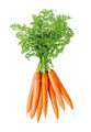 Imperator 58 Carrot Seed