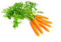 Tendersweet Carrot Seed