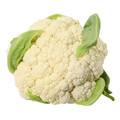 Snowball Y Improved Cauliflower Seed