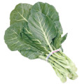 Georgia Southern Collard Seed