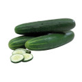 Poinsett 76 Cucumber Seed