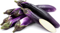 Long Purple Eggplant Seed