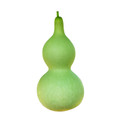 Birdhouse / Bottle Gourds Seed