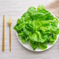 White Boston Butterhead Lettuce Heirloom Seed