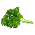 Moss Curled Parsley Heirloom Seed