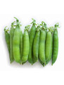 Vegetable Seeds/Peas