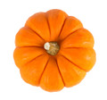 Jack be Little Pumpkin Heirloom Seed