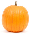 Jack O' Lantern Pumpkin Heirloom Seed