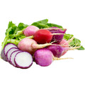 Easter Egg Radish Heirloom Seed