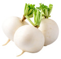 Hailstone Radish Heirloom Seed