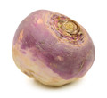 American Purple top Rutabaga Heirloom Seed