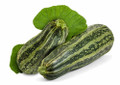 Cocozelle Summer Squash Heirloom Seed