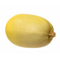 Vegetable Spaghetti Winter Squash Heirloom Seed