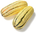 Delicata Winter Squash Heirloom Seed