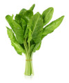 Perpetual Spinach Swiss Chard Heirloom Seed