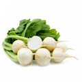 White Egg Turnip Heirloom Seed