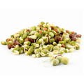 Protein Bean Sprouting Seed Mix; Green Pea, Mung Bean, Adzuki, Garbanzo