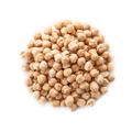 Sprouting Garbanzo Beans - 1 Pound