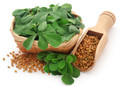 Fenugreek Seed