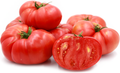 Brandywine Pink Tomato Seeds