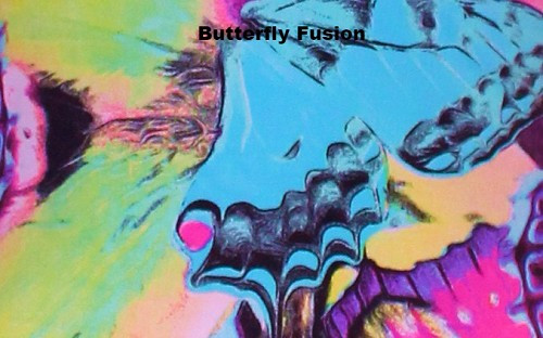 Butterfly Fusion Polartec Venetta Fit Junior Jacket