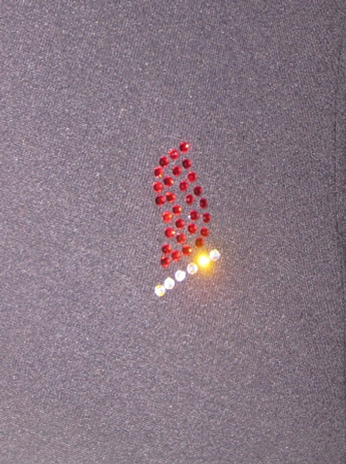 Figure Skating Jacket by Ice Fire - Skate  and Wings applique HJ232 4th view