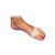 Metatarsal Diminutive Pad