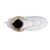 Jackson Ice Skates Excel-JA1291 Misses (Ascend Series)