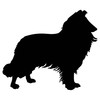 50mm Rough Collie Dog Acrylic Blank
