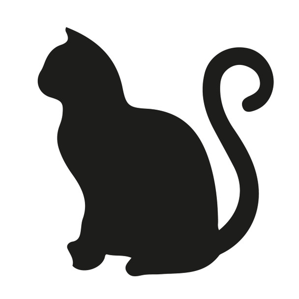 100mm Cat Acrylic Blank Shape 6