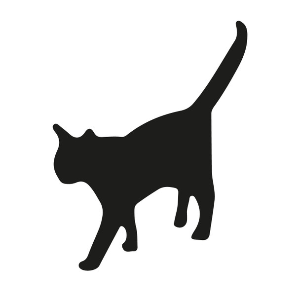 100mm Cat Acrylic Blank Shape 5