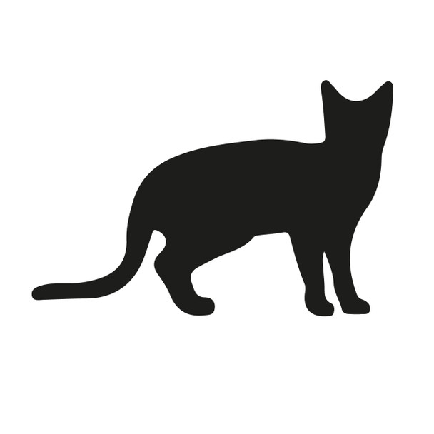 100mm Cat Acrylic Blank Shape  1