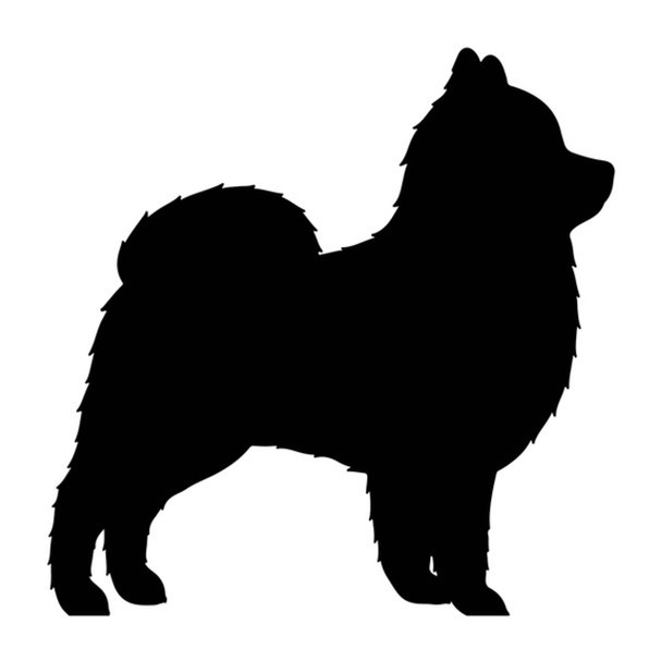 Pomeranian Dog Acrylic Keyring Blank - Pack of 6